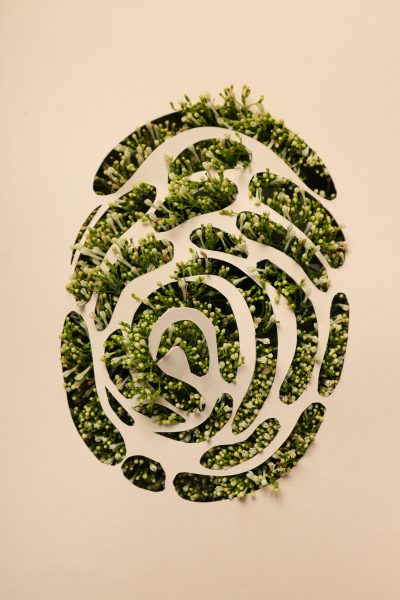 Earth Day, Environment concept and Eco concept